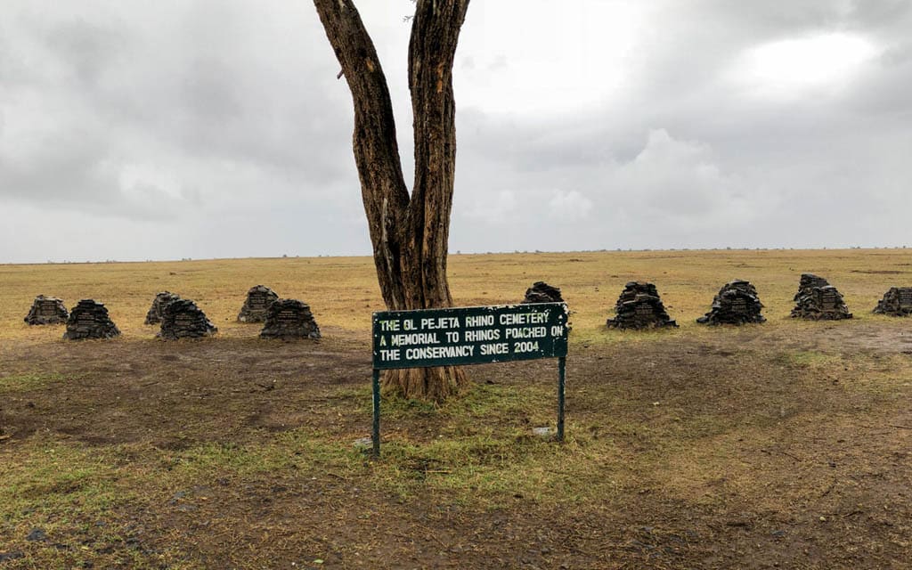 Rhino cemetery in Ol Pejeta