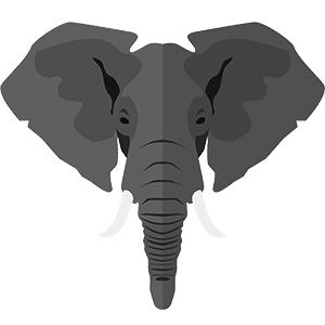 Illustrated elephant icon