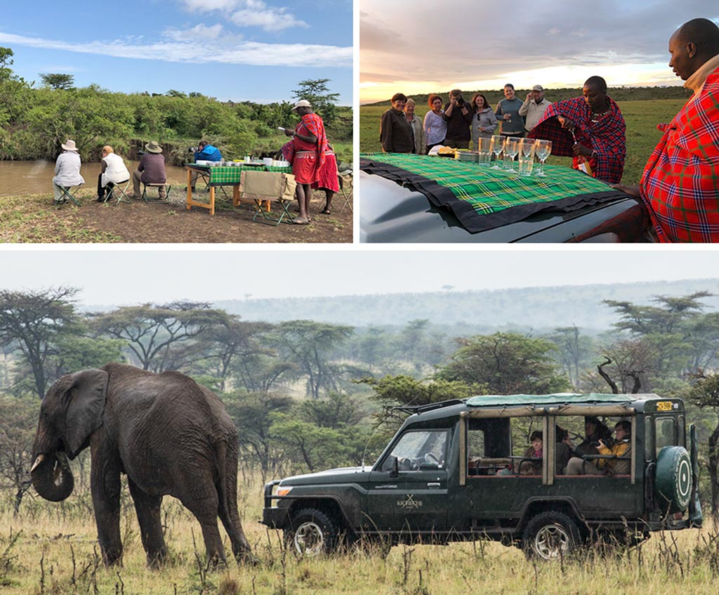 Montage of photos of NJ Wight and her guests on safari.