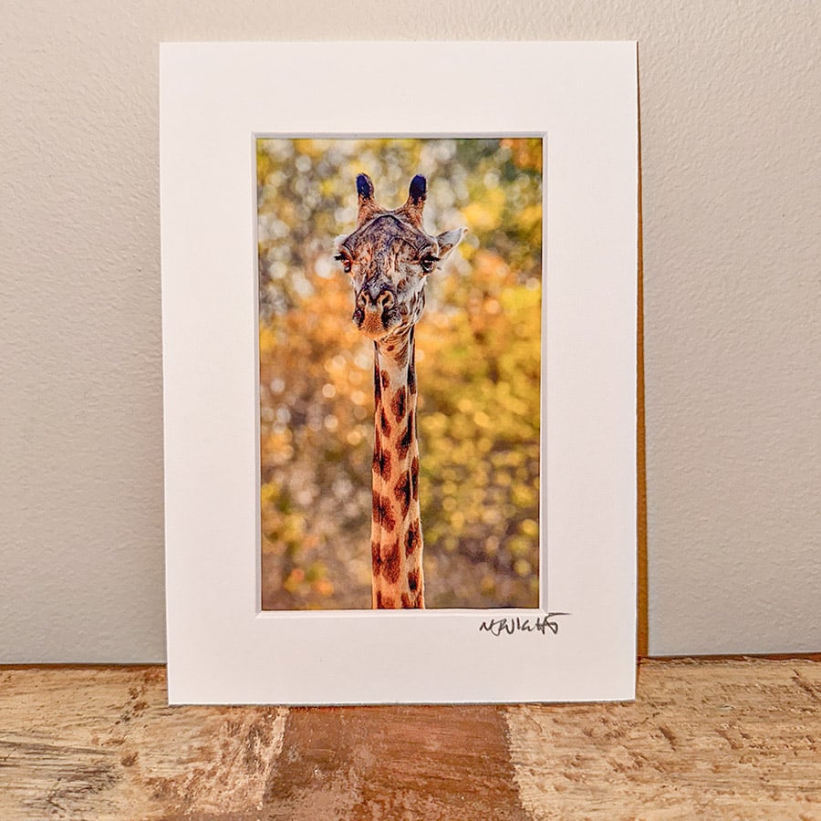 Tall Blonde giraffe mini print by njwight